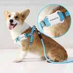 GPS Smart Waterproof Pet Locator