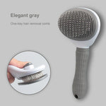 Hair Remover Brush C