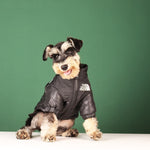 Down Jacket For Medium and Small Dog