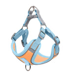 Adjustable Dog Harness