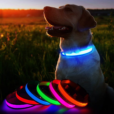 MASBRILL LED Dog Collar