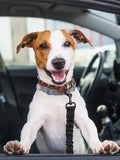 Stretchable Car Seatbelt For Pets A