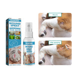 Pet Skin Care Health