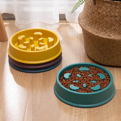 Pet Slow Food Bowl