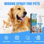 Pet Skin Care Health