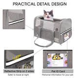 Airline Approved Dog Carrier