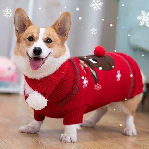 Christmas Dog Coat