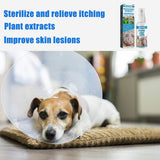 Pet Skin Care Health