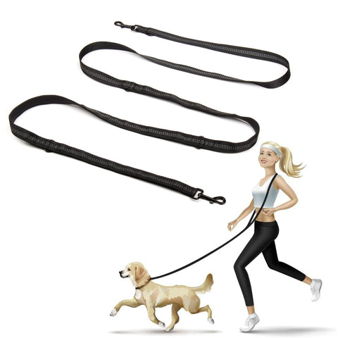 Dog Training Leash 3 Meters