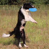 Dog Toy Flying Discs