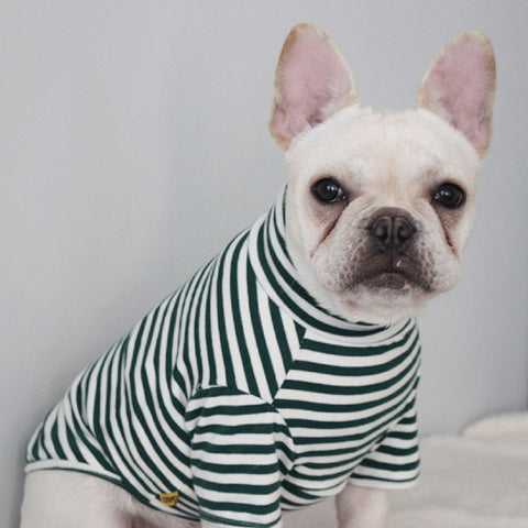 Dog Shirt Fashion Striped