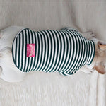 Dog Shirt Fashion Striped