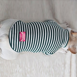 Dog Shirt Fashion Striped