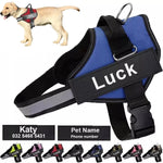 Dog Harness