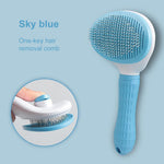 Hair Remover Brush C