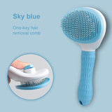 Hair Remover Brush C