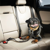 Dog Car Seatbelt