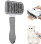 Hair Remover Brush C